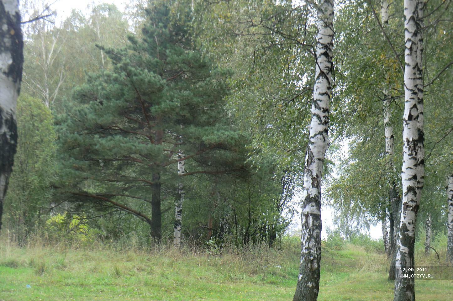 Поездка на Волгу. Пучеж-Городец — рассказ от 14.09.12