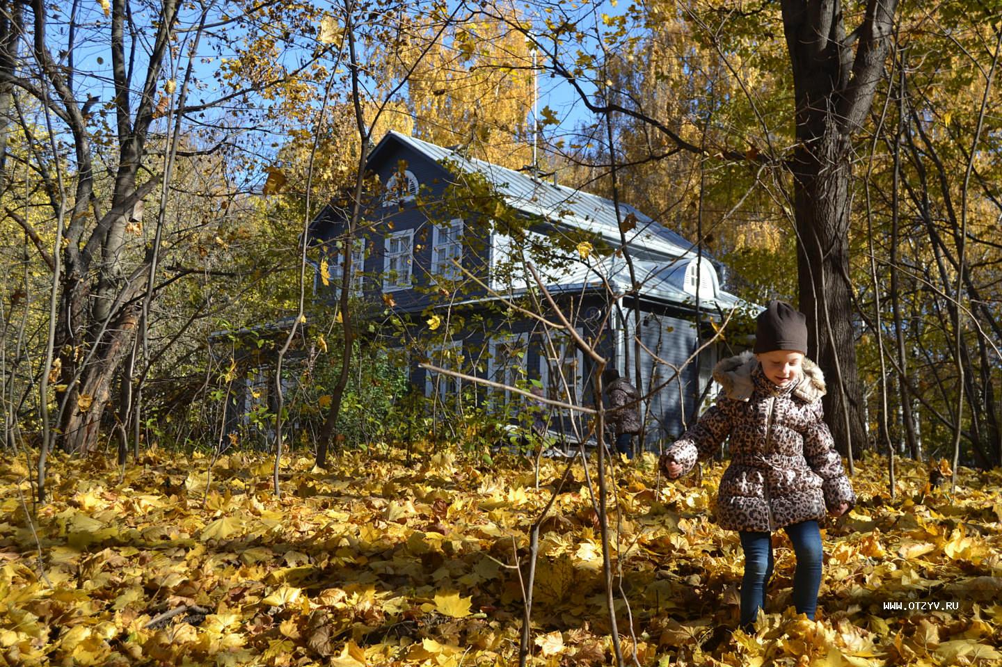 Отзывы осени. Осень в Кузьминках. Кузьминки осенние. Осень в парке Кузьминки. Душевная осень в Кузьминках.