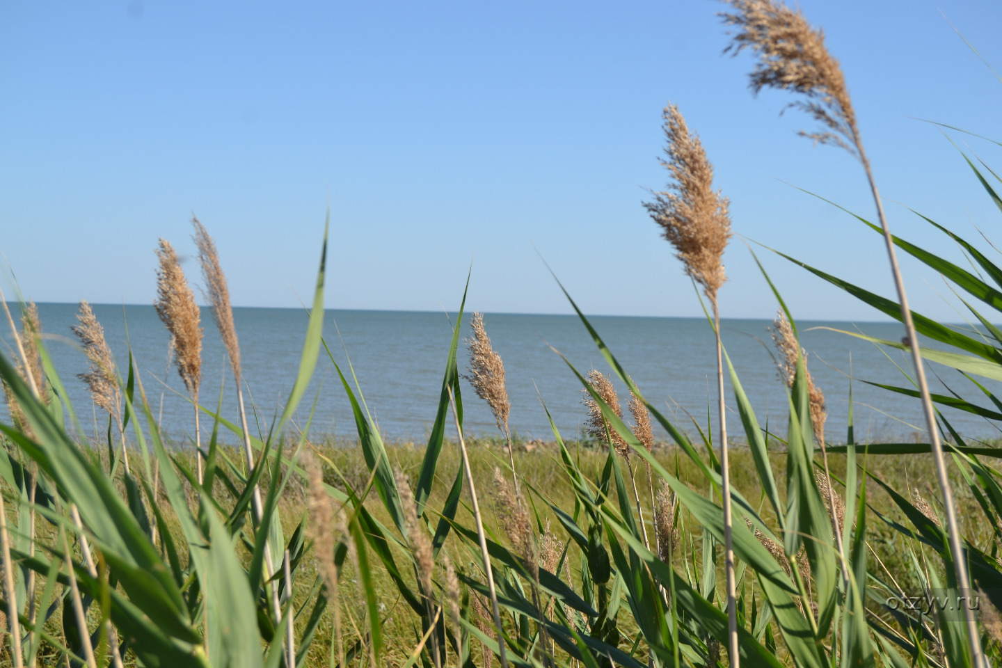 Приморско ахтарск азовское море