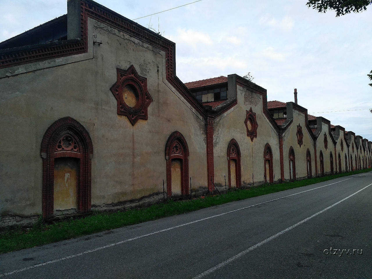 Дочь фольтеста принцесса адда. Принцесса адда ведьмак. Адда. Д адда. Принцесса адда ведьмак 1.