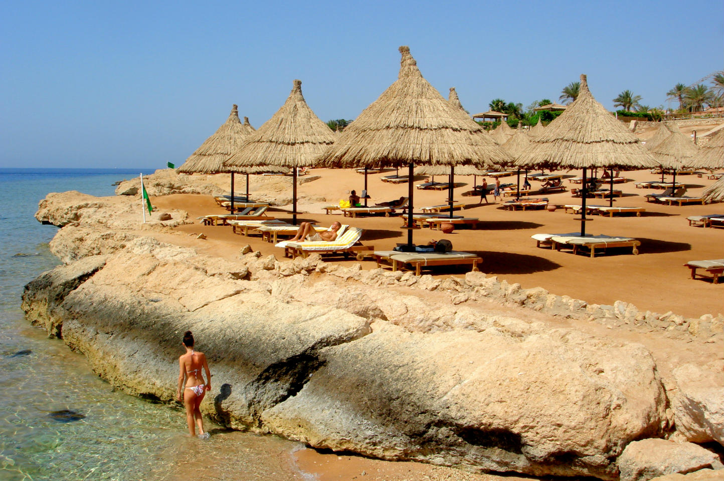 sheraton sharm resort египет