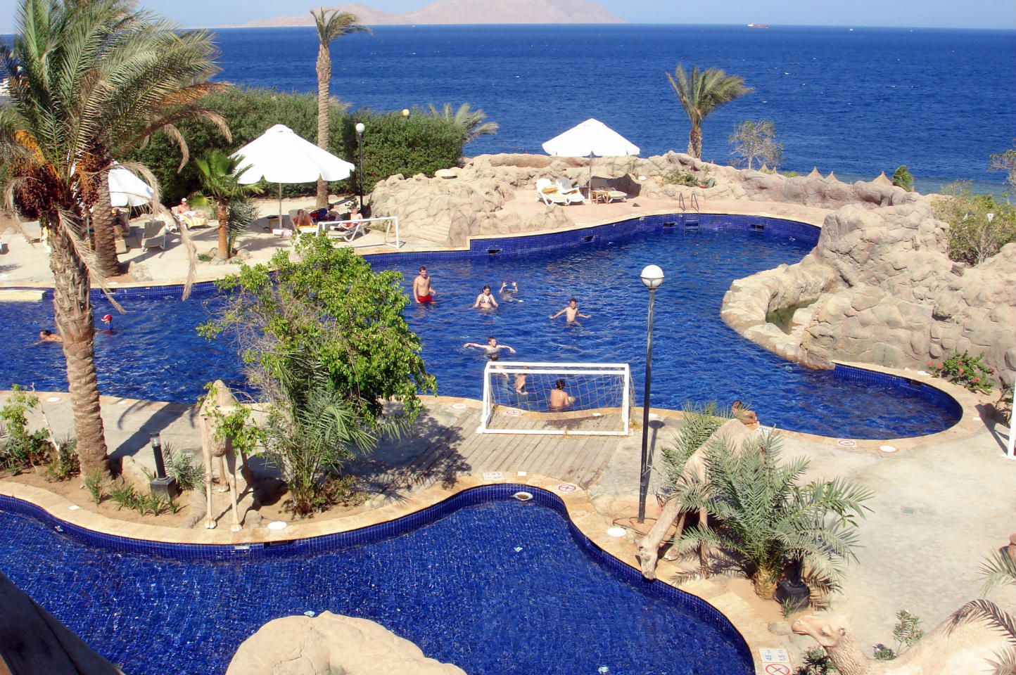 sheraton sharm resort египет