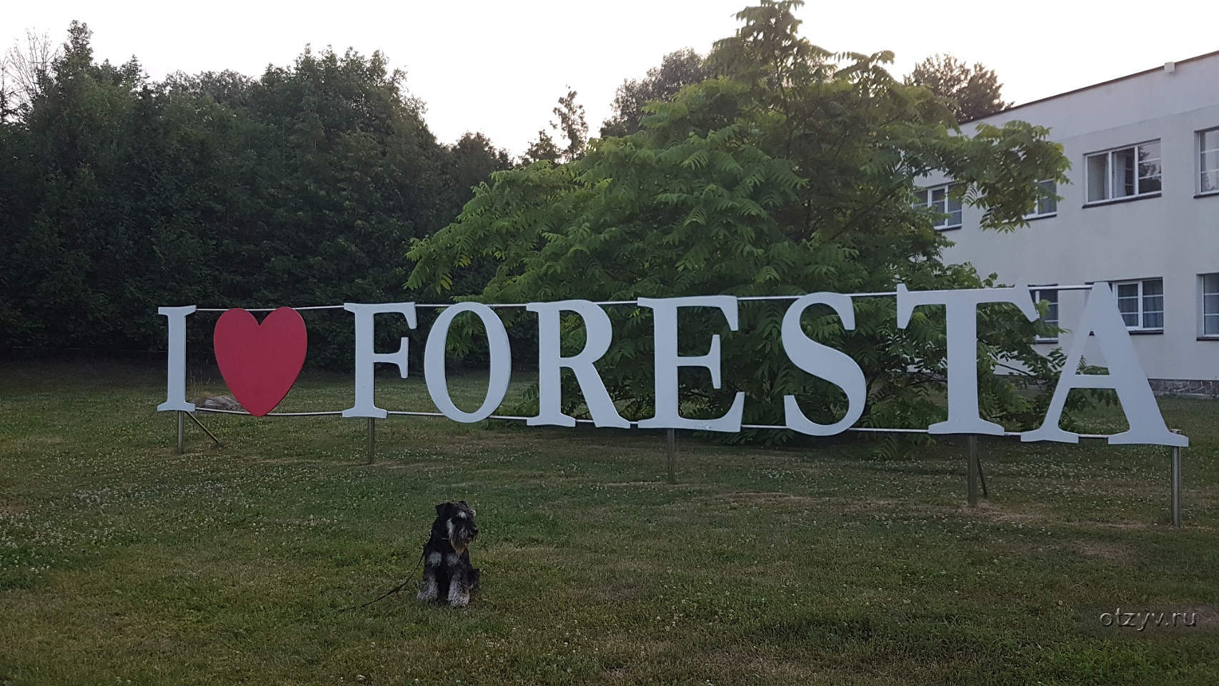 Отзыв об отеле Foresta Festival Park (Чеховский р-н, Россия) — Фореста  Фестиваль парк - территория контрастов от 23.10.21