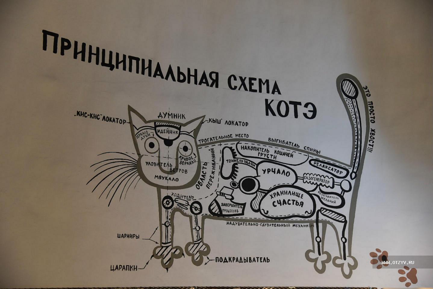 Принципиальная схема котэ музея в Зеленоградске