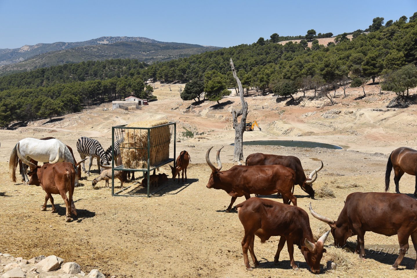 Se puede llevar comida al safari aitana