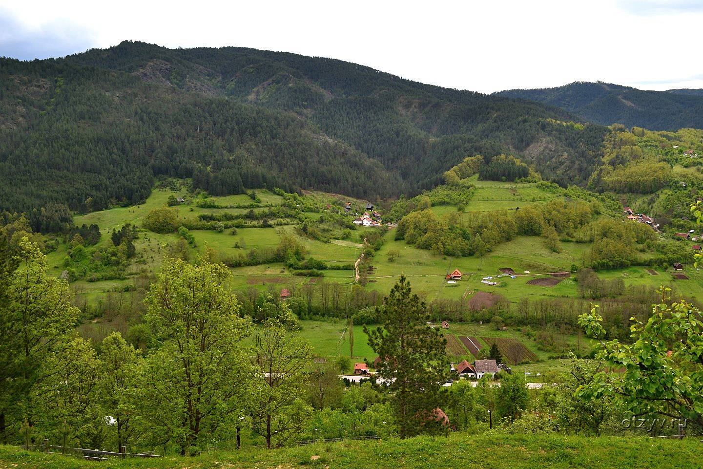 сербия врнячка