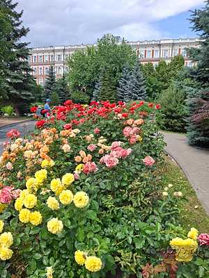 ��������? ��������? �� �������� �������