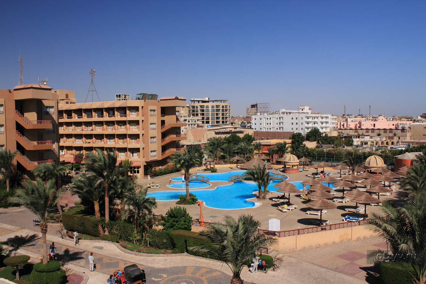 Отель в египте сигал