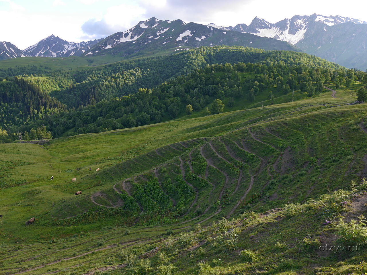Зеленый перевал Осетия