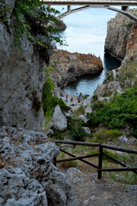 Ciolo