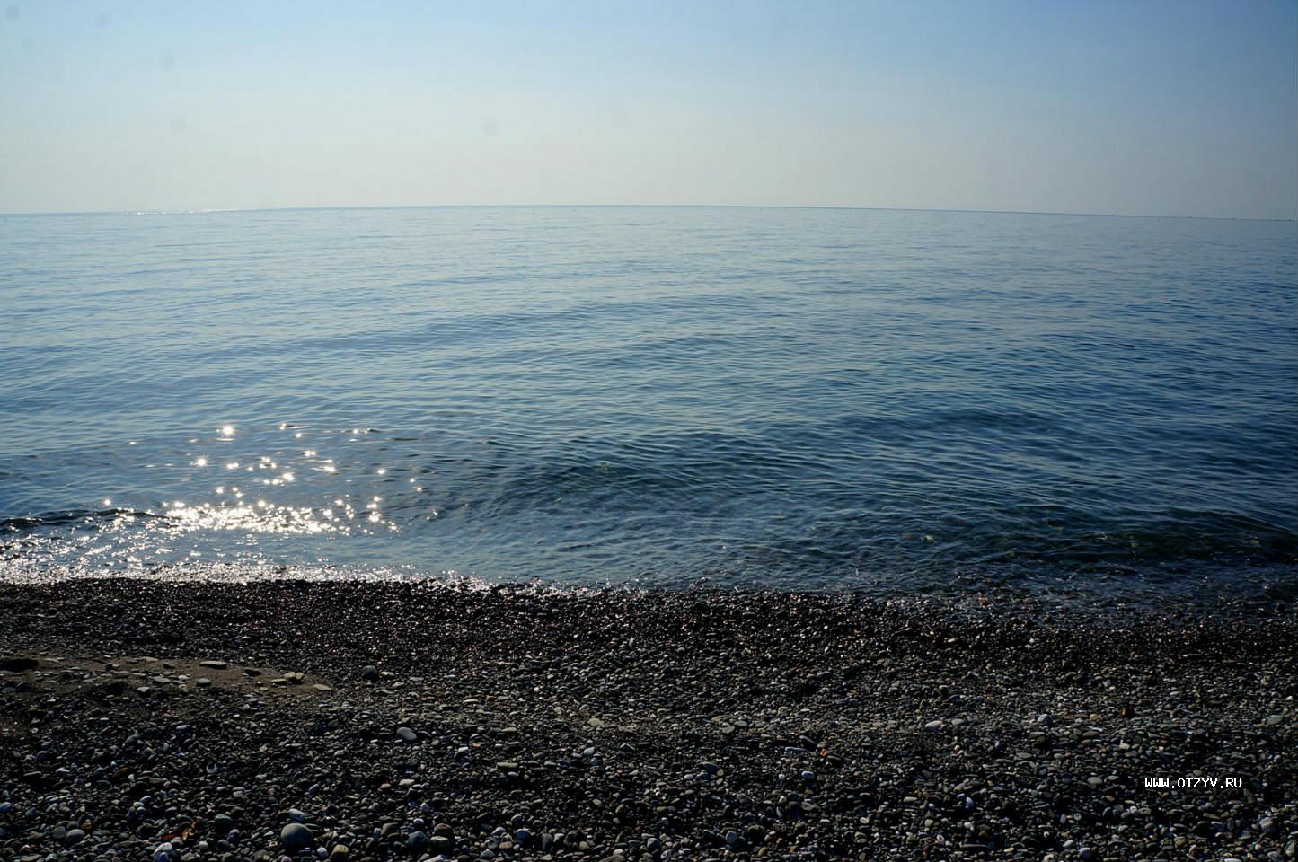 Гисметео адлер вода в море