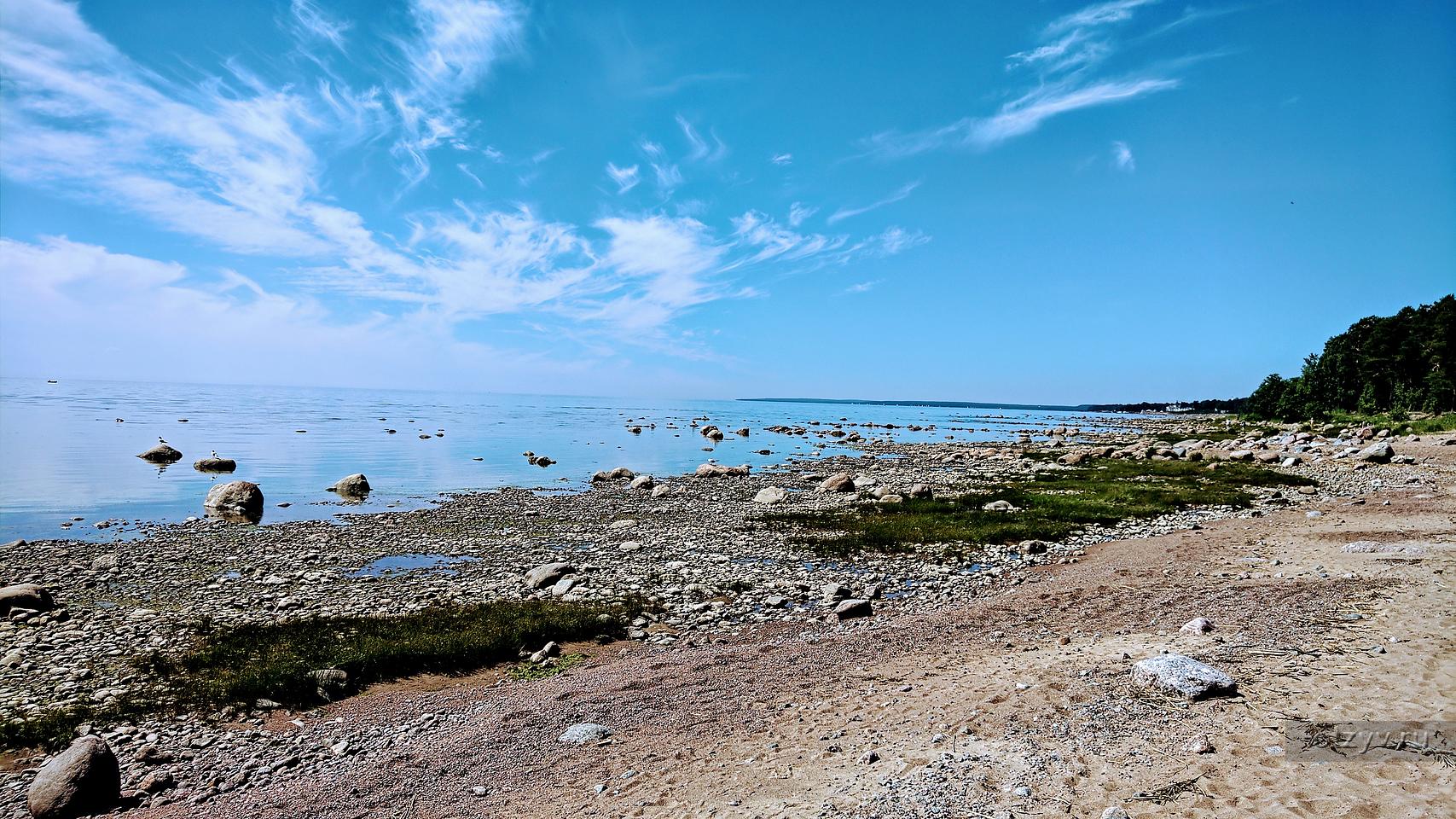 Море санкт. Море в Питере. Окрестности Зеленогорска, февраль 2022. Ыин кое море в Питере.