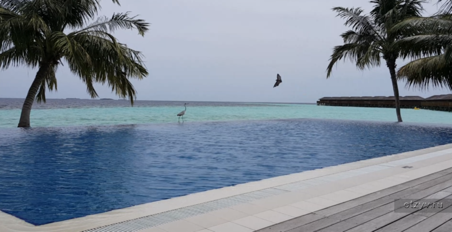 Vilamendhoo island. Vilamendhoo Island Resort 4.