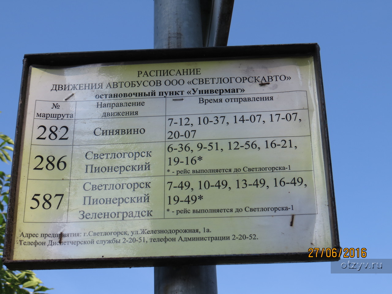 Как добраться из светлогорска до янтарного. Автобус Светлогорск Пионерский. Автобус Светлогорск Янтарный. Расписание автобусов Светлогорск Пионерский. Расписание автобусов Светлогорск Янтарный.