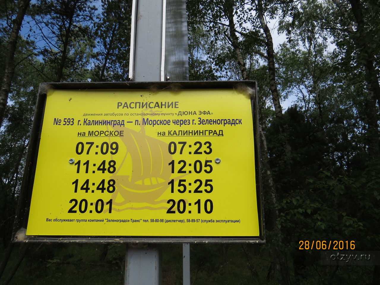 Расписание автобусов калининград северный зеленоградск