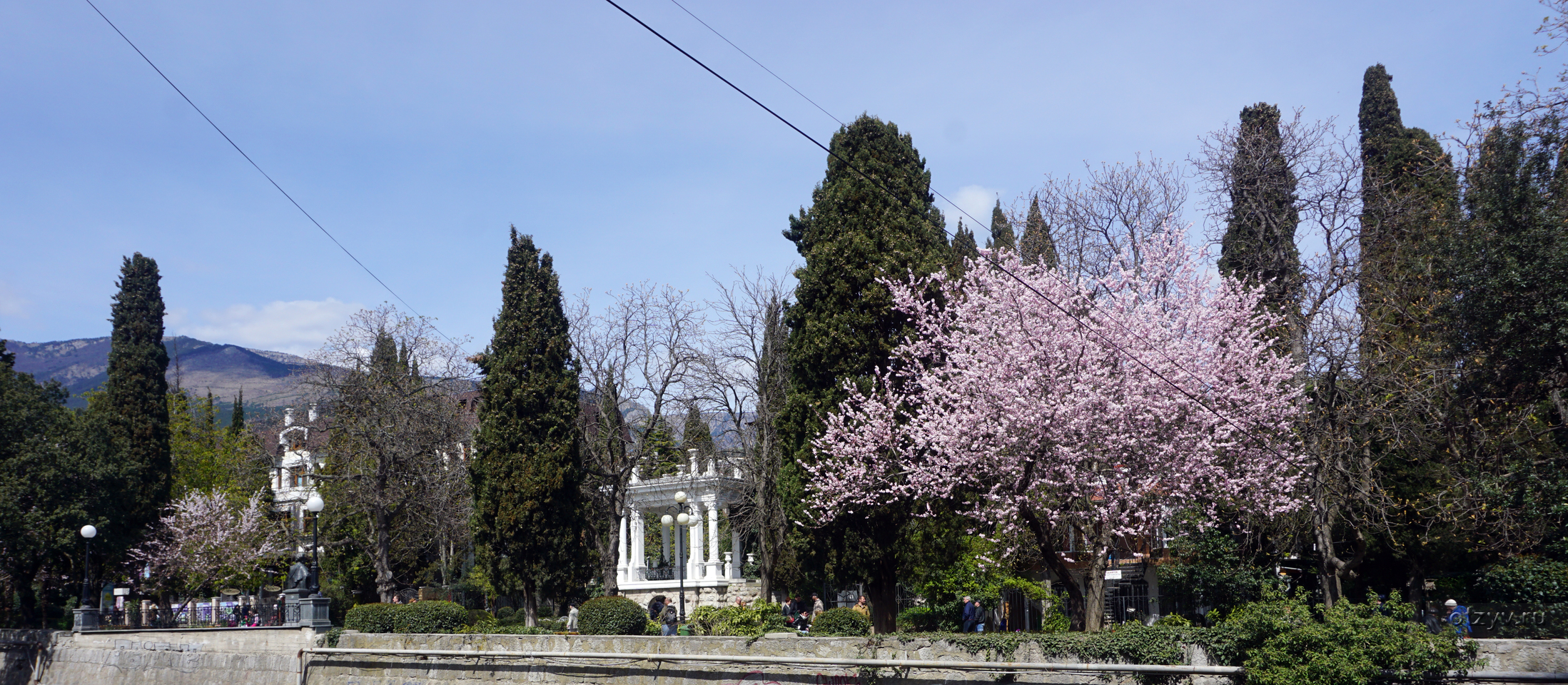 Городские парки ялты