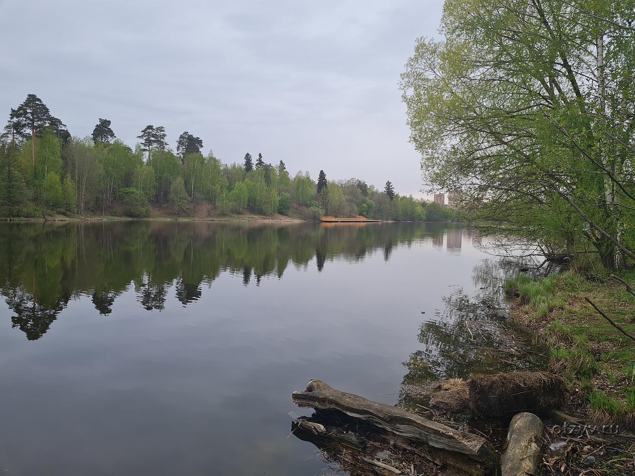 Купить Участок В Гребнево Щелковский