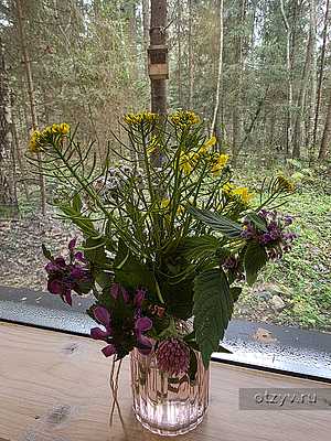 ���������� � ������� "������� �������": ������� � ���������� �����