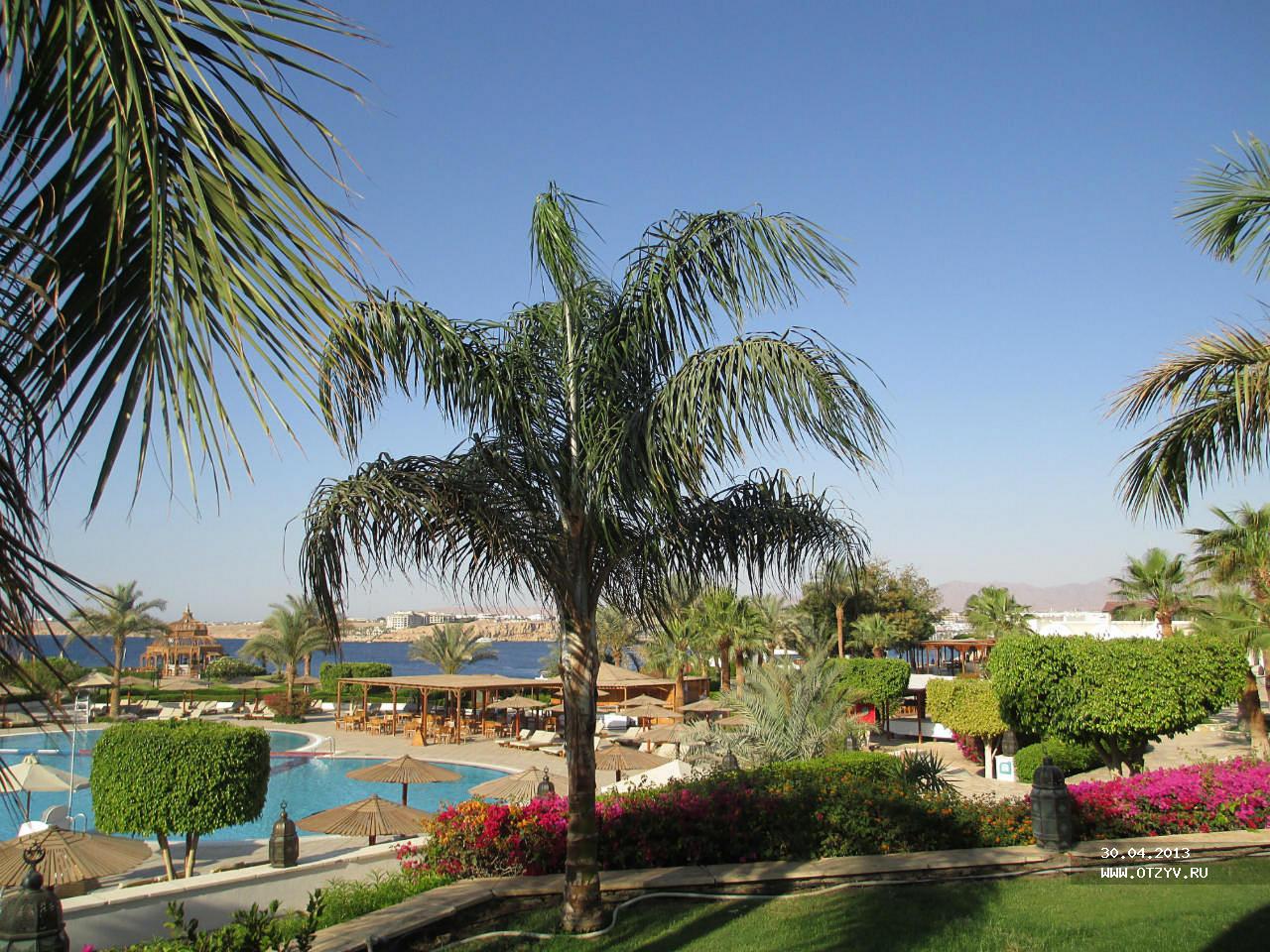 Movenpick resort sharm el sheikh 4. Movenpick Шарм-Эль-Шейх Египет. Мовенпик Египет Шарм. Мовенпик Шарм-Эль-Шейх 5. Sofitel Египет Шарм-Эль-Шейх.