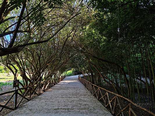 лачетти заглушка блок антифриза. вогнутые диски. правильная балластировка колеса. лить вовнутрь. форма для литья силикона на 3д принтере.