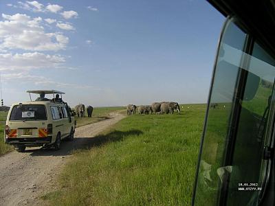 вот на таком расстоянии мы и увидели слонов первый раз