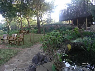 Amboseli Serena Lodge ресторан, столики на улице