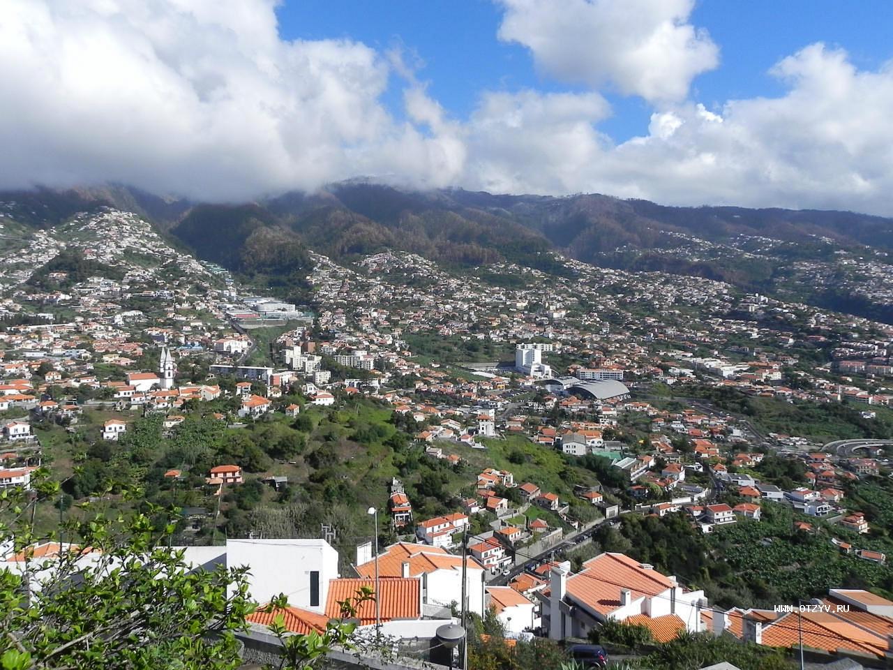 Мадейра февраль фото