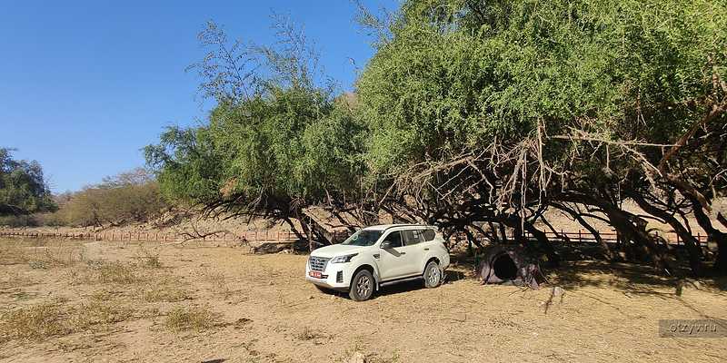 циклон и антициклон. воздушная оболочка земли. съемки земли из космоса. земля с высоты 1000 км. несколько тысяч километров.
