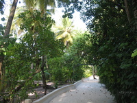 Nika Island Resort 