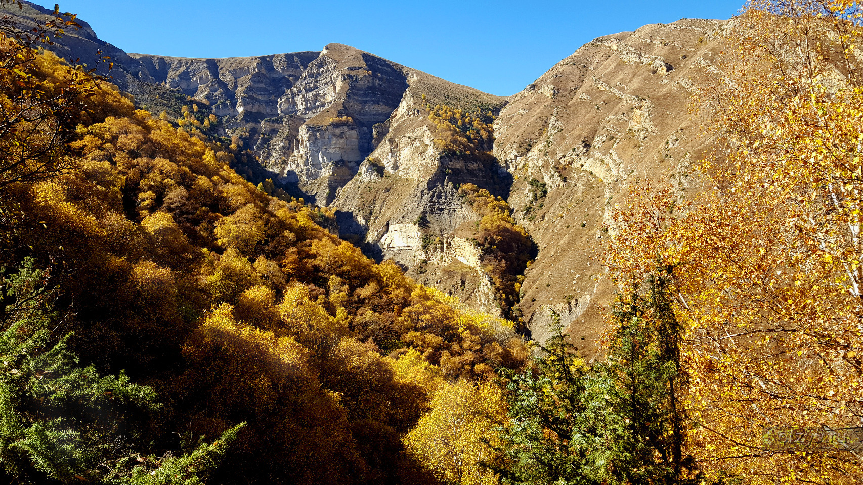 Золотая гора в Дагестане