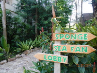 Peter Pan Resort Koh Kood 