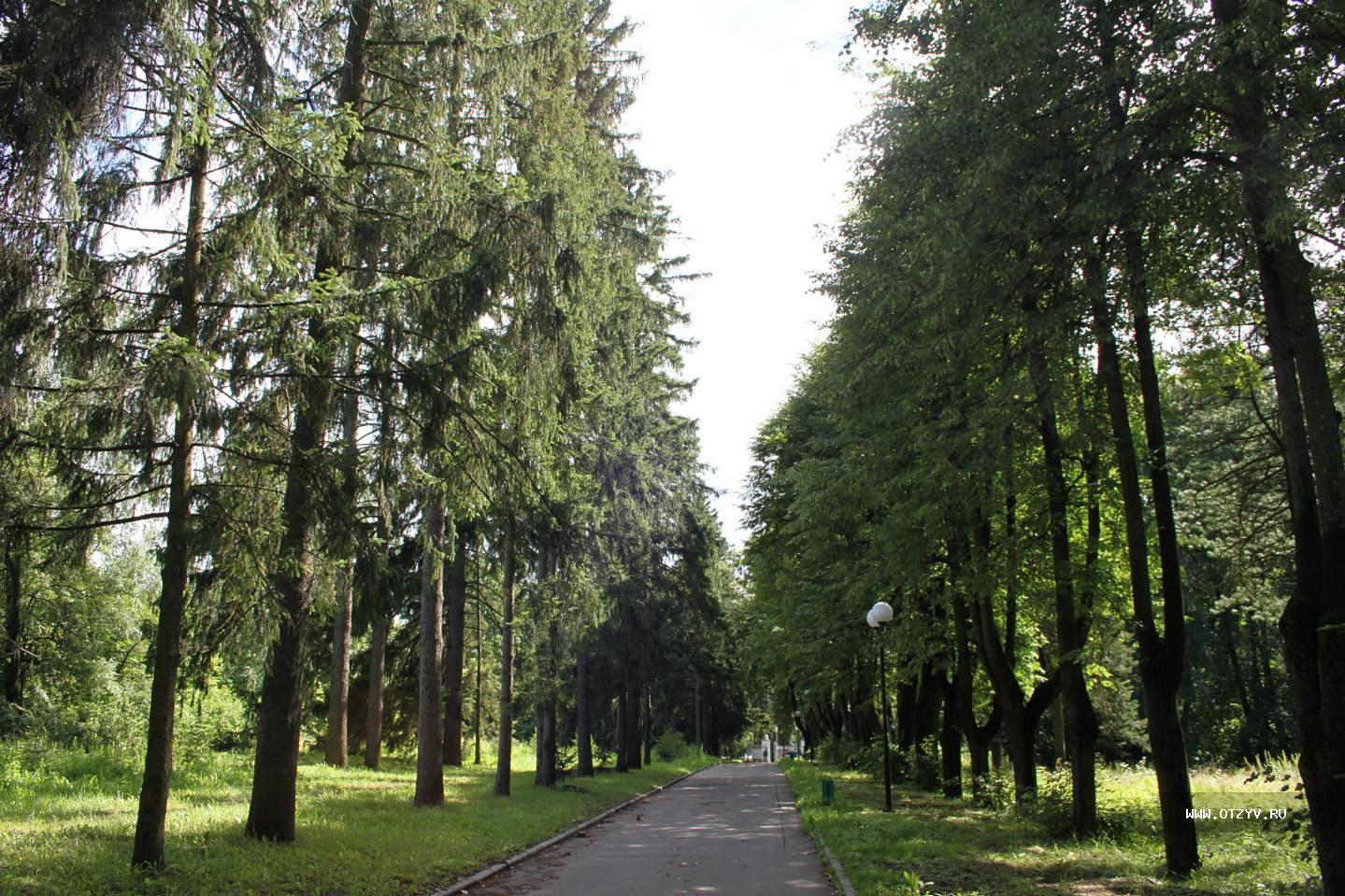 Горки московская область. Горки Ленинские аллея. Парк Ленинские горки. Горки Ленинские весной. Ка Троицкий парк Ленинские горки.