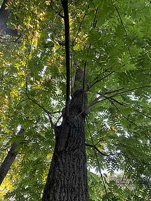  .  -2 .   -1 .  2025 