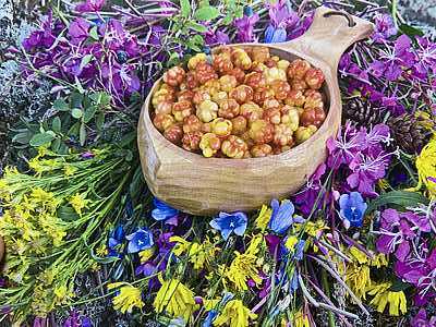 .     .  " ". - .  2025 