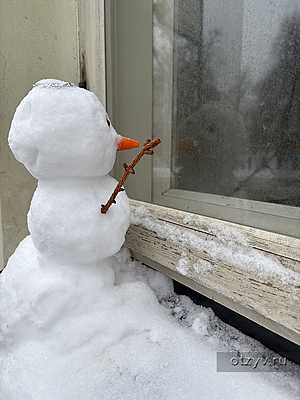 ��� ������. ��������� � �����. ������ 2025