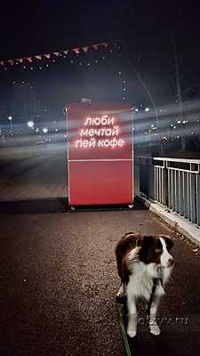 � ������ �� ������� �������� ������