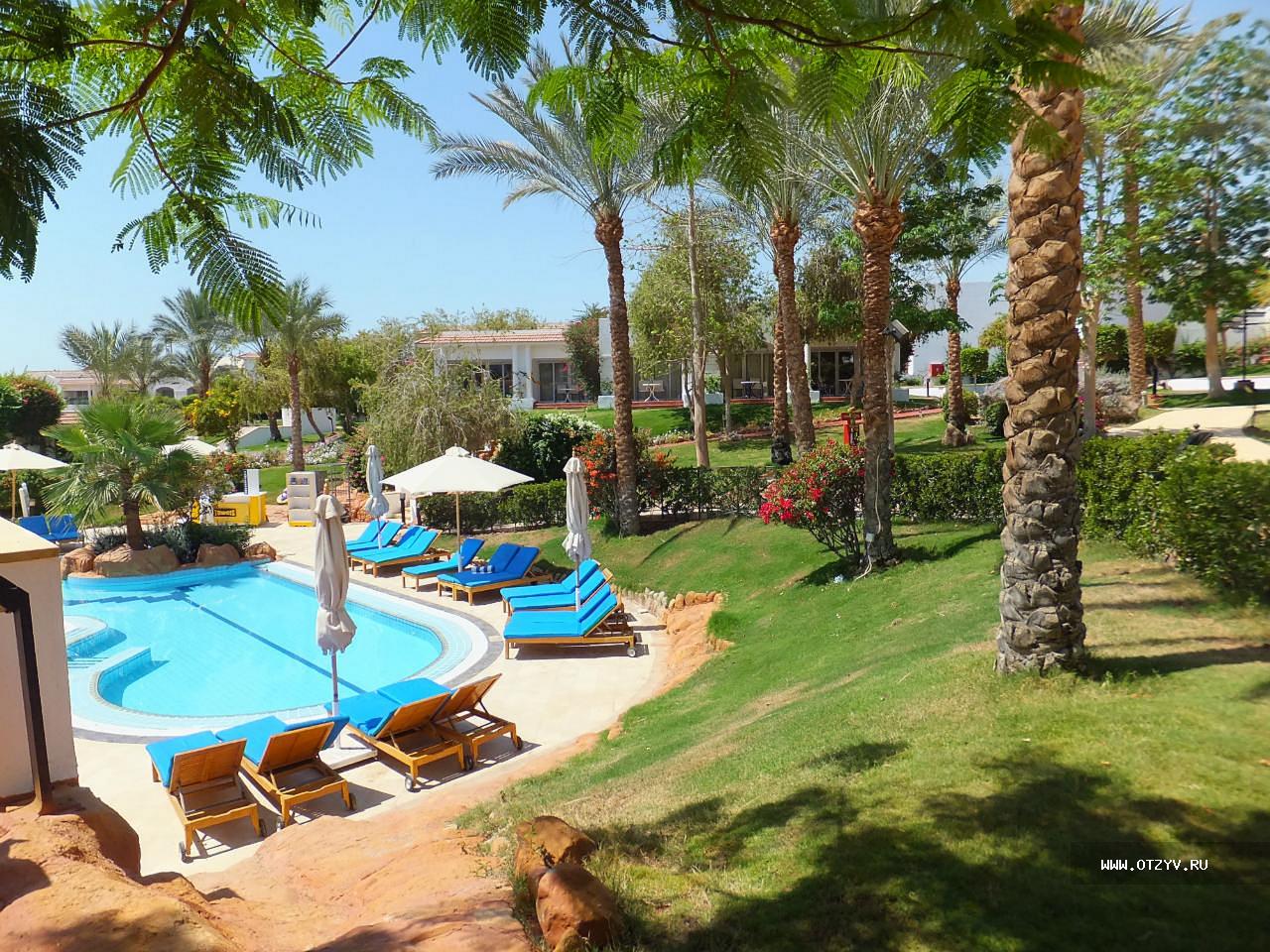 Resort отзывы. Sharm Dreams Resort. Шарм дримс Резорт Шарм-Эль-Шейх.