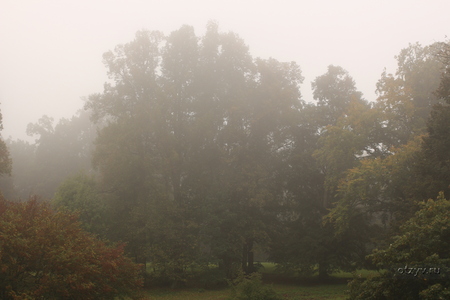 Парк замка Орлик - утренний туман