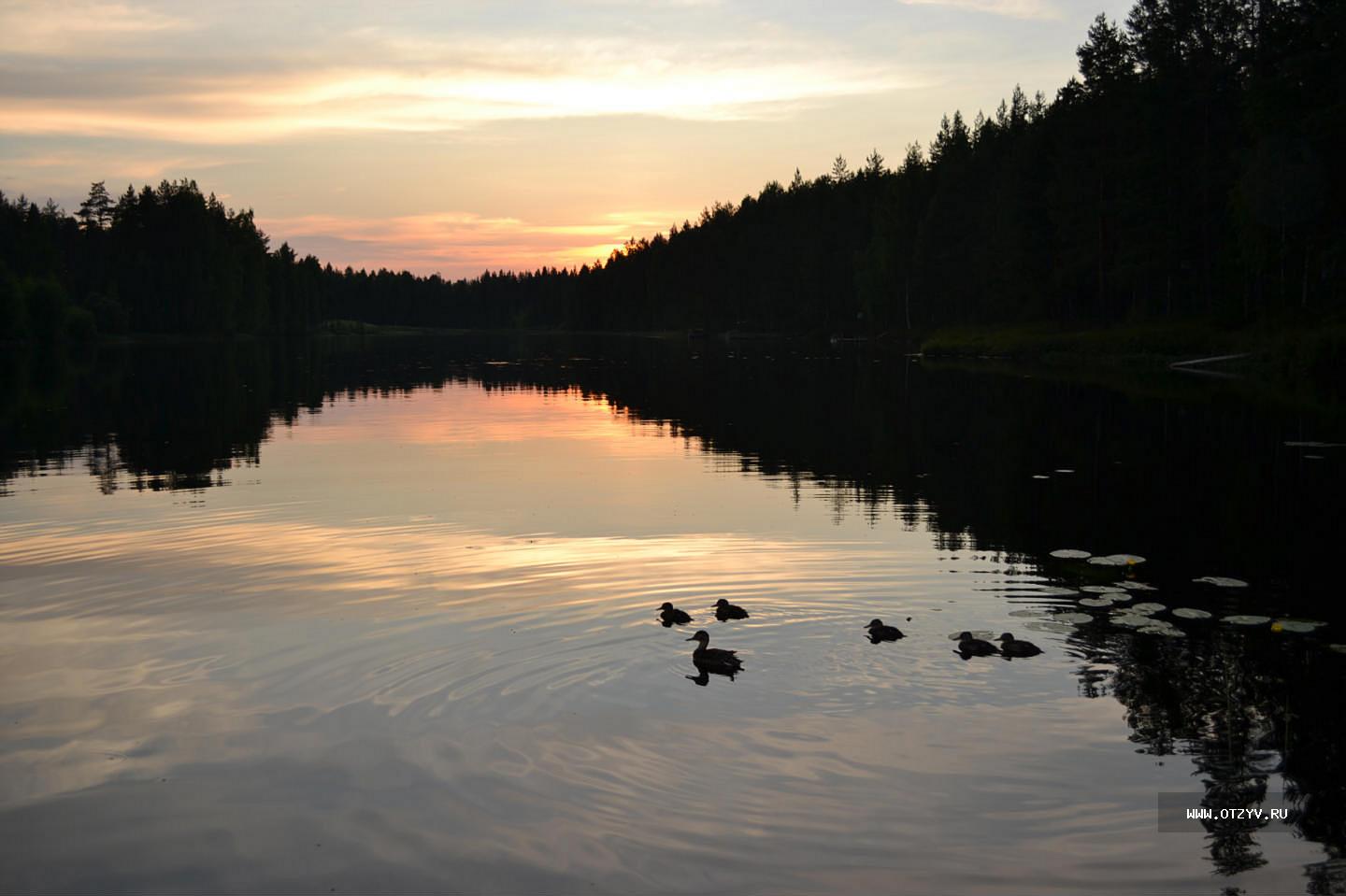 Финское озеро 5 букв. Финское озеро Парголово рыбалка. Финляндия озеро кулугу. Картинки финских озер.