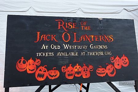 Long Island (-). . The RISE of the Jack O'Lanterns