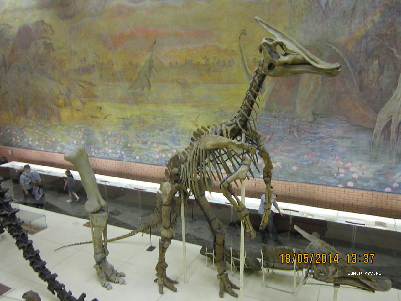 палеонтологический музей москва официальный