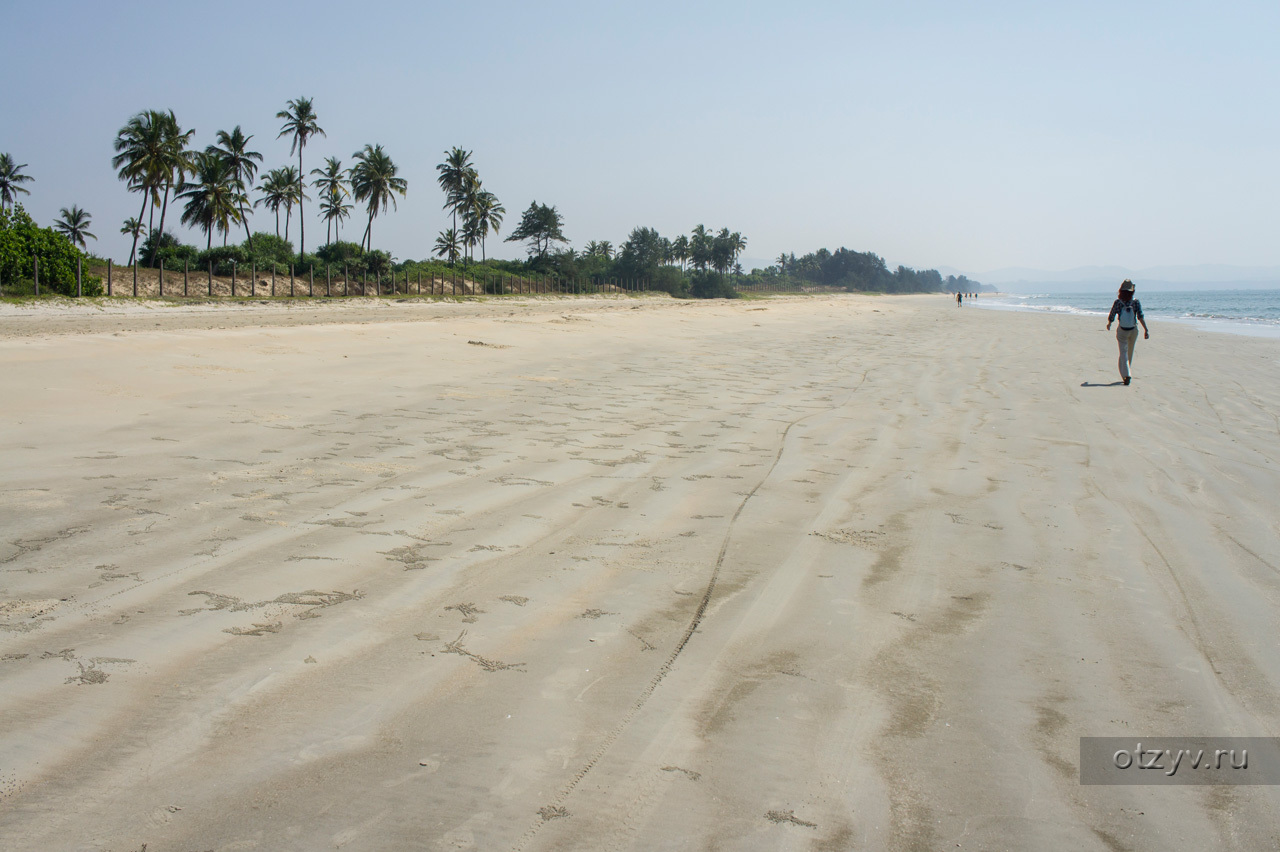 Пляж варка Гоа фото