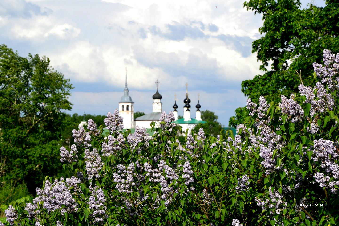 Распечатать фото в суздале