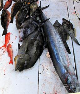 Рыбалка на о. Санту-Антан