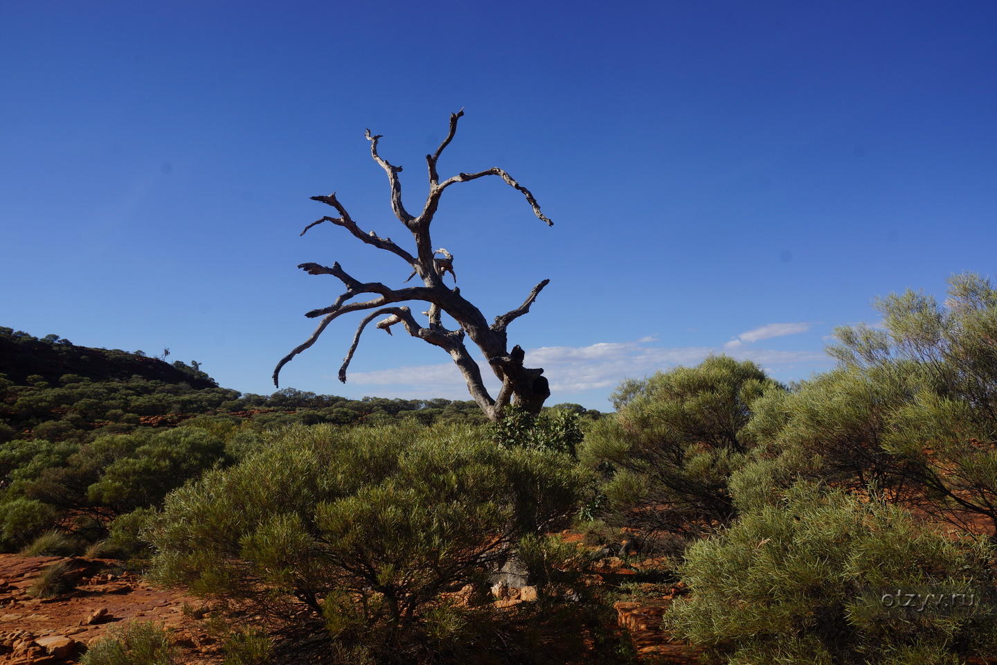 австралия природа фотографии это южные плеяды