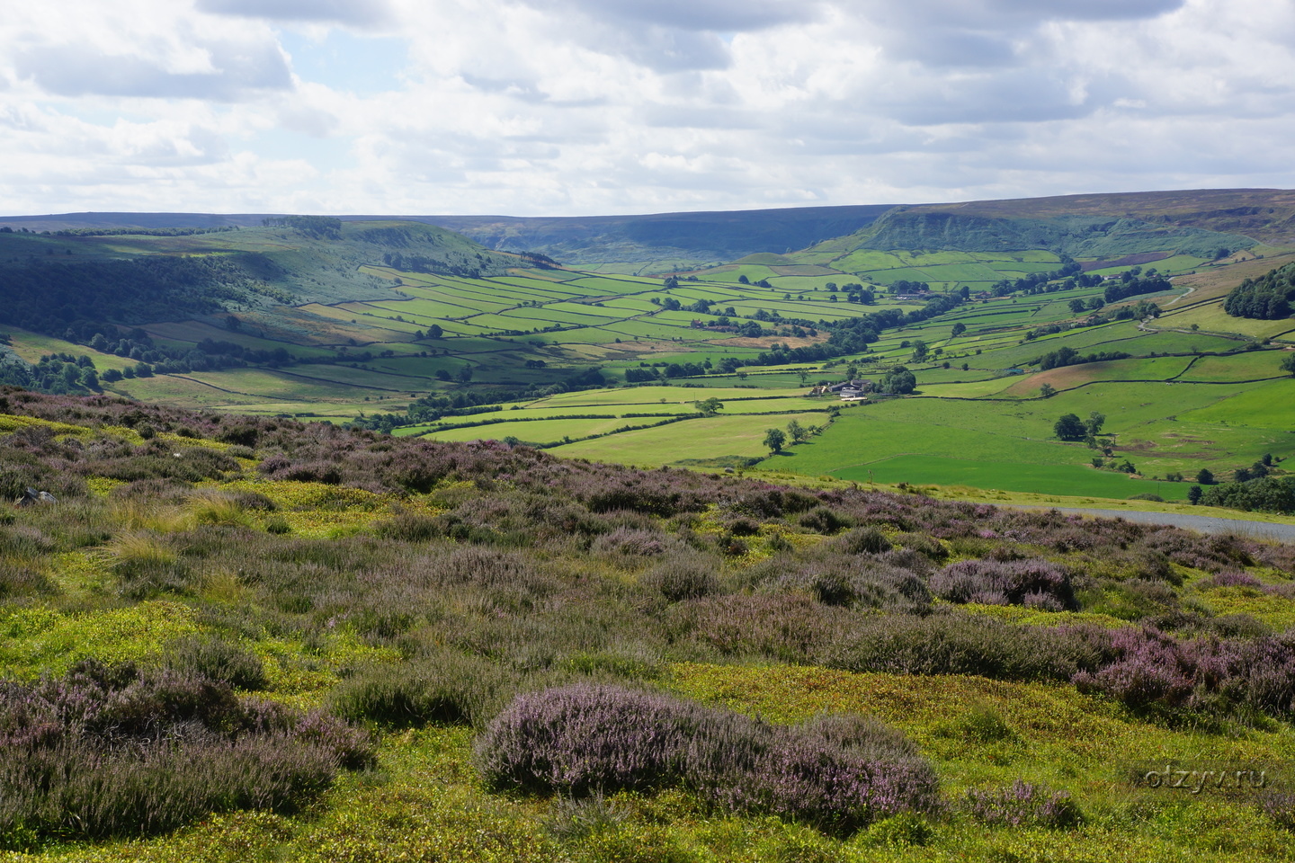 North york. Норт-Йорк-Мурс. North York Moors. Moor. Whitby North York Moors.