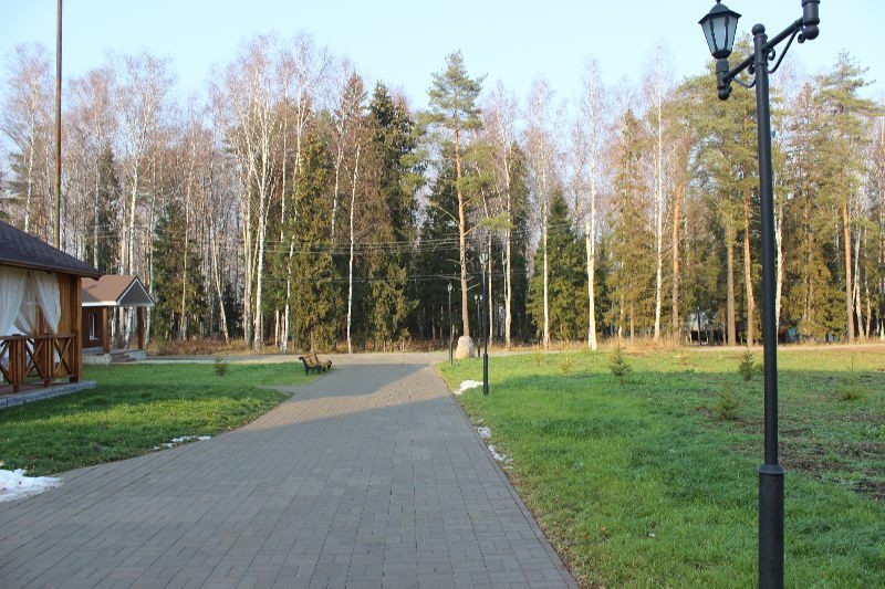 Серебряный плес кострома. Серебряный Плес в Костромской области Левитан.