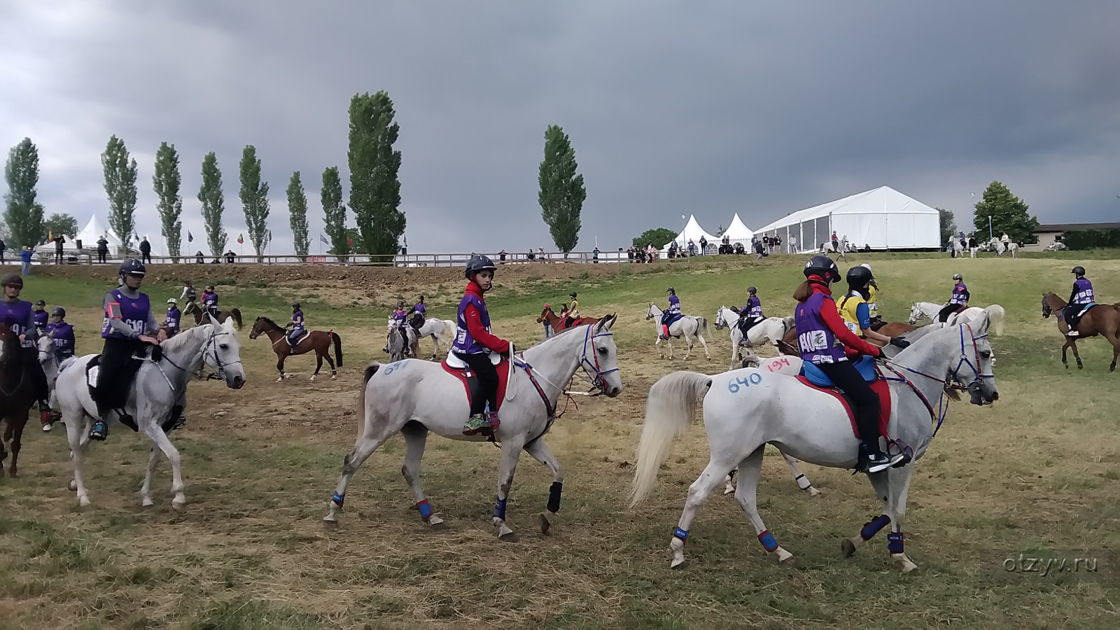 На конных пробегах во Франции и в Германии. Июнь 2019 г — рассказ от  14.07.19