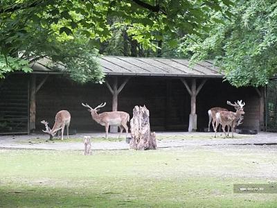 Мюнхенский зоопарк