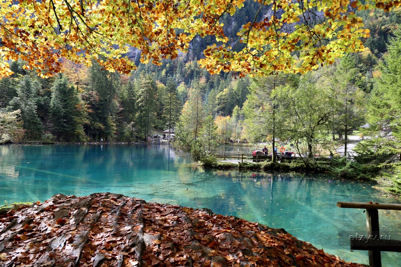 Wallpaper Blausee Schweiz осень